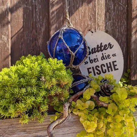 Seeblick נויהרלינגרזיל