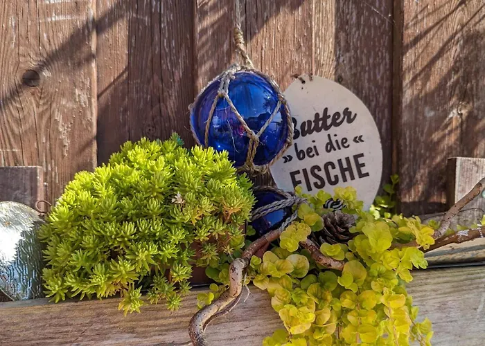 Seeblick Нойхарлингерзиль